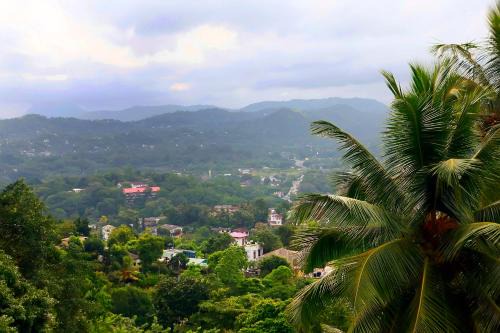 Kandy Casa | The Change Hotel