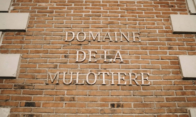 Langeais Otro | The Château and its Orangery