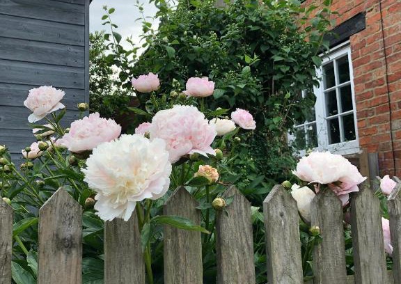 Sulgrave Casa | The Cottage