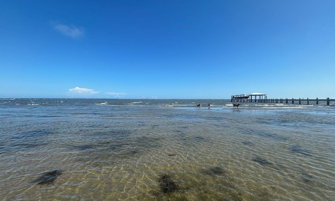 Newport Casa | “The Cottage" Waterfront Access to Bouge Sound!