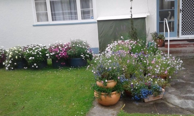 Whanganui Cabaña | The Cozy Batch con una perspectiva rural