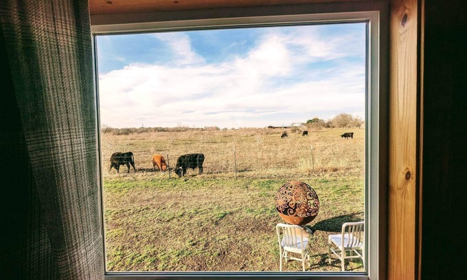 San Marcos Cabina | The Cozy Cabin