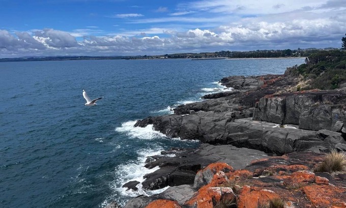 East Devonport Cabina | The Dannebrog Lodge Room 9