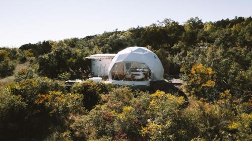 Fischer Casa | The Disco Domes