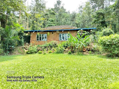 Kudrasthe Casa | The Dream