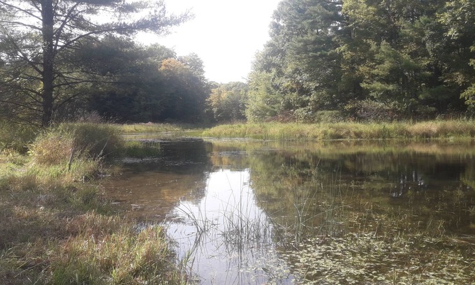 Leeds and the Thousand Islands Alquiler De RV | The Duck Pond (BYO tent camp) - very private, pet friendly, max 8 people/4 tents