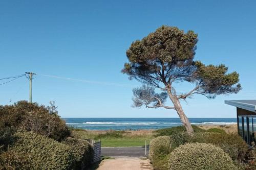 Scamander Apartamento | The Dunes - King Studio - 50m from Scamander Beach