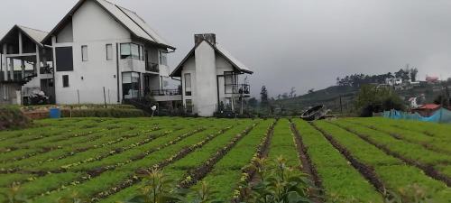 Nuwara Eliya Casa | The Essence