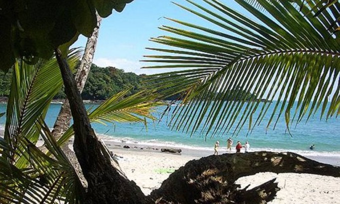 Manuel Antonio Complejo | The Falls Resort at Manuel Antonio