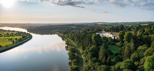 Killotteran Complejo | The Forest at Mount Congreve Gardens