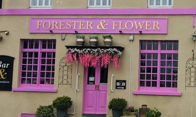 Combe Down Casa | The Forester and Flower
