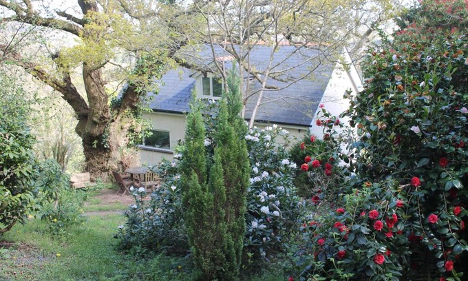 Rhiwbina Apartamento | The Foretop