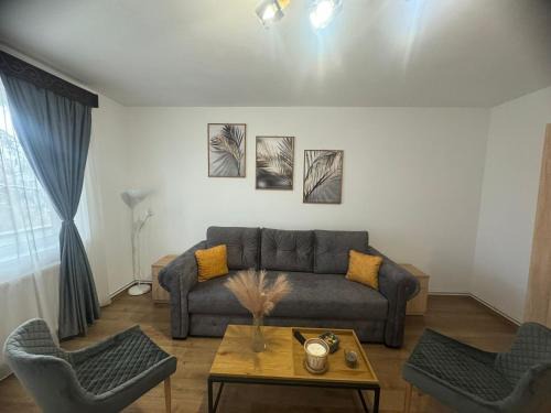 Sfantu Gheorghe Apartamento | The Future Residence