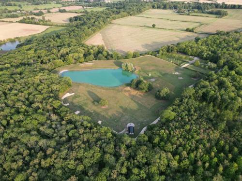 Wellesbourne Otro | The Goose In The Woods