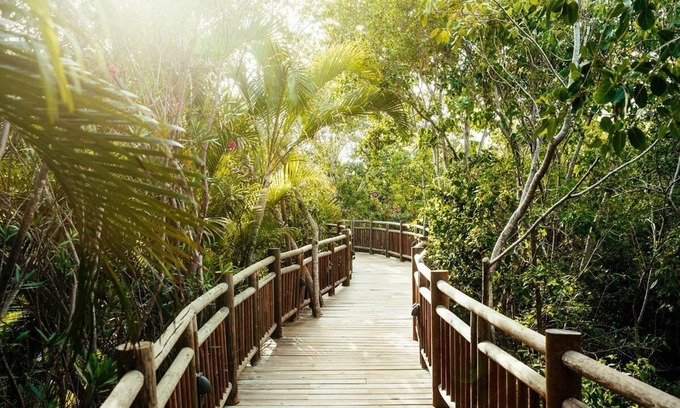 Centro Complejo | The Grand Mayan at Vidanta Riviera Maya