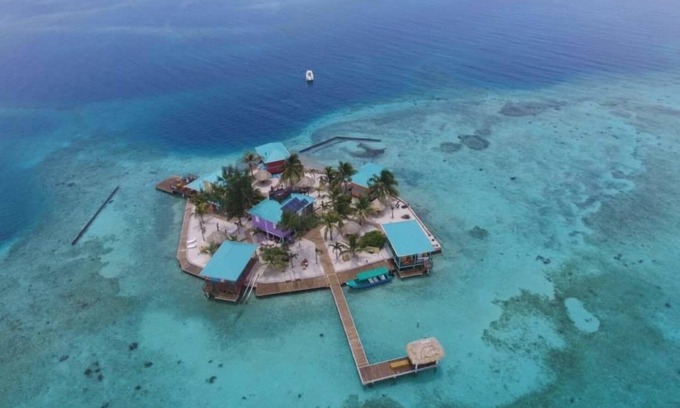 Placencia Cabina | The Green Parrot Fish at King Lewey's Island Resort, Placencia Cayes, Belize