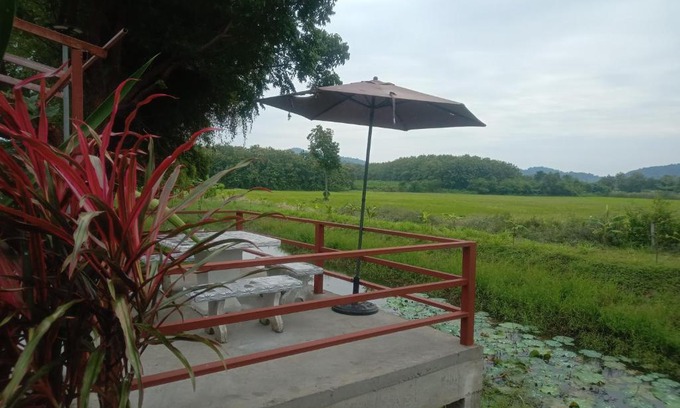 Nong Phai Cama Y Desayuno | The Green Vale B&B