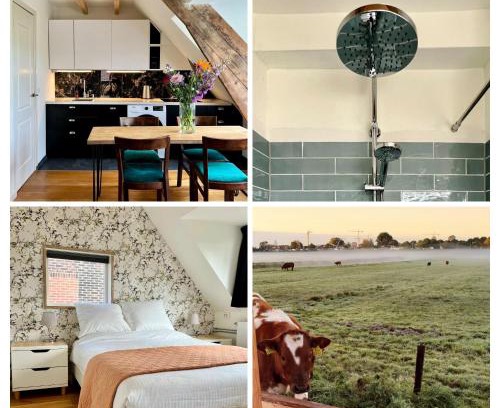 Amsterdam North Apartamento | The Grutto, private apartment 25 min from city center