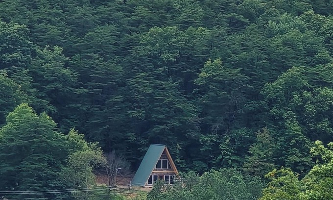 Spencer Casa | The H/\skell near Fall Creek Falls