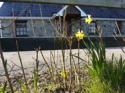 Drumkeary Casa | The Hill Cottage