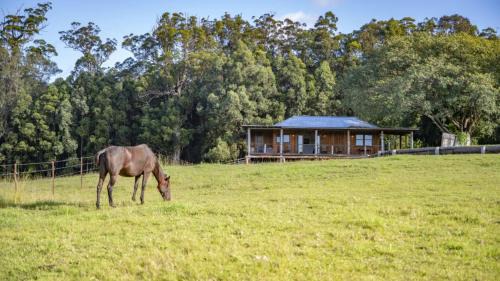 Coramba Casa | The Hitching Rail Hut - Romantic, Rural, Horses