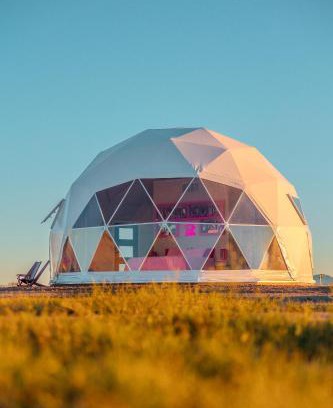 Willcox Otro | The Hive