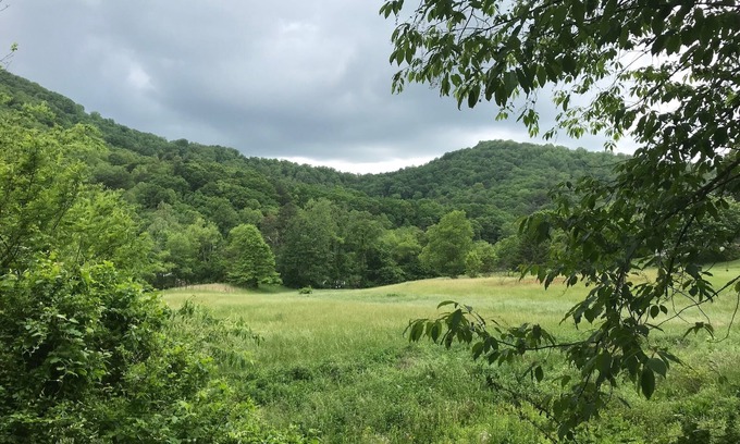 Weaverville Cabaña | La cabaña en Casa Nola