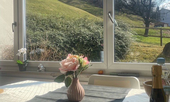 Triesen Apartamento | The individually furnished apartments