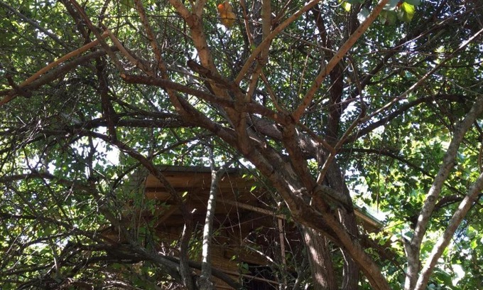 Dambulla Cabina | The Inn On The Tree