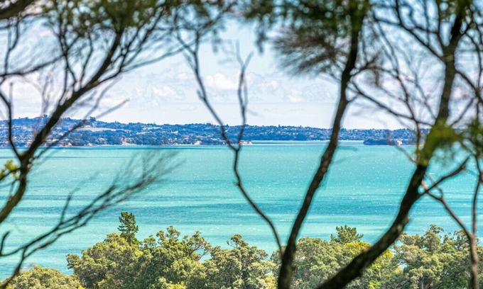 Omiha Casa | LA CASA DEL ÁRBOL DE LA ISLA: Costa y país