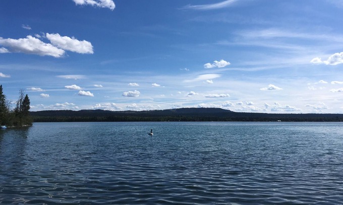 Celista Casa | The Islander Cottage en el Sunny Shuswap