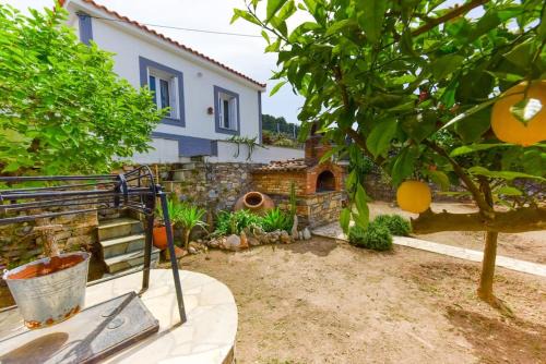 Samos Casa | The Kalivi