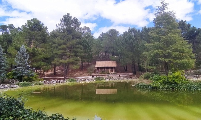 Riopar Casa | La cabaña del lago en Zafiro El Lagunazo. Parque Natural del Río Mundo, Riopa