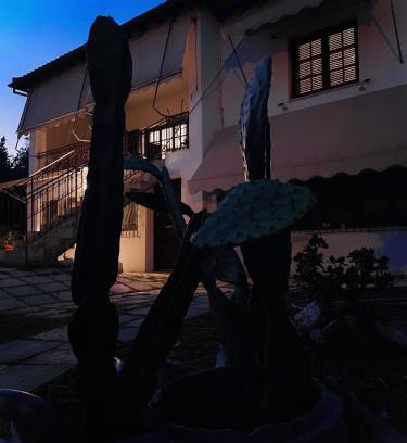 Nikopolis Apartamento | The land of the olive tree