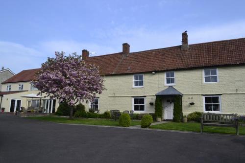 Ashcott Cama Y Desayuno | The Lawns Tea Room and B&B