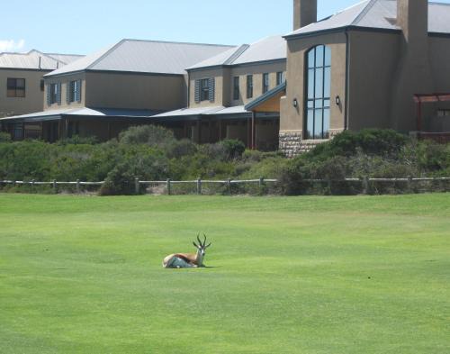 Melkbosstrand Casa | The Lodge at Atlantic Beach