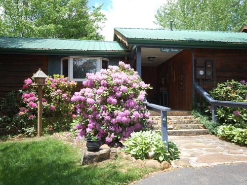 Candler Cabina | The Lodge House