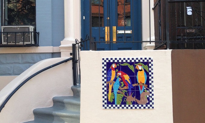 East Harlem Casa | The Macaw Guesthouse
