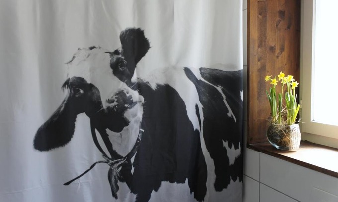 Boenigen Apartamento | The Mad Cow