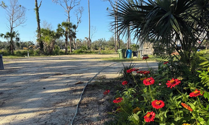 Steinhatchee Alquiler De RV | La cabaña en Lake Retreat of Steinhatchee: ¡una impresionante propiedad de 5 estrellas en el lago!