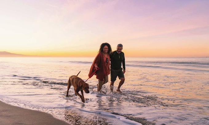 Belmont Shore Apartamento | The Mermaid:Beach~Bay~2nd St~ PetsOK~Fast Wifi