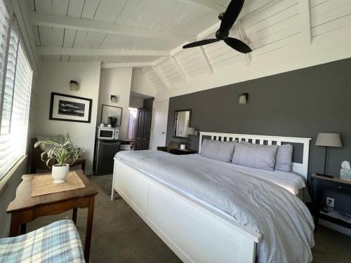 Bananna Belt Casa | The Midtown Cottage- w/Private Entrance and Views