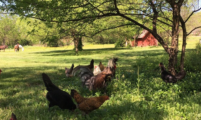 Nolensville Otro | The Milk Barn - Retiro tranquilo cerca de Nashville y Franklin