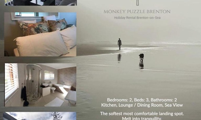 Brenton-on-Sea Apartamento | The Monkey Puzzle