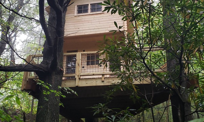Zirconia Apartamento | The Music Box Treehouse