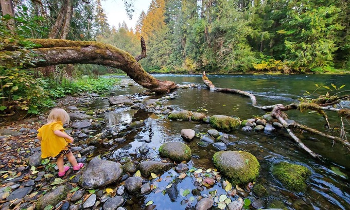 McKenzie Bridge Cabaña | The North Bank Cabin,100ft private McKenzie Riverfront, Grill, 20min to Falls
