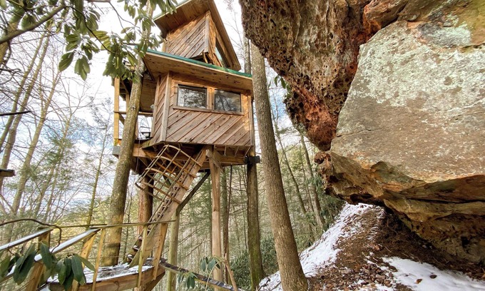 Stanton Hotel | The Observatory Treehouse: To Infinity and Beyond!