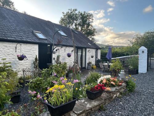 Llandovery Casa | The Old Milking Parlour
