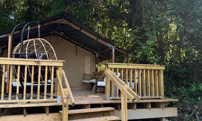 Rio Piedras Cama Y Desayuno | The ONLY glamping site in the New Millennium Forest in San Juan, PR