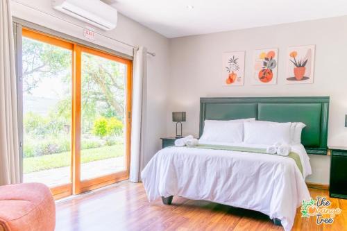 Alkmaar Casa | The Orange Tree Guest House